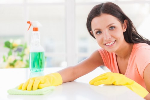 Professional cleaners cleaning a modern home in Hampton