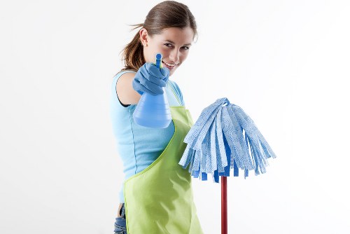 Professional cleaners at work in a Beddington home