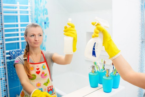 Professional cleaner at work in a home