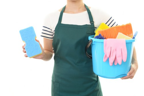 Professional cleaners servicing a Forestdale home