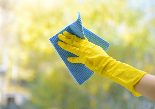 Affordable cleaning service options in Kenton