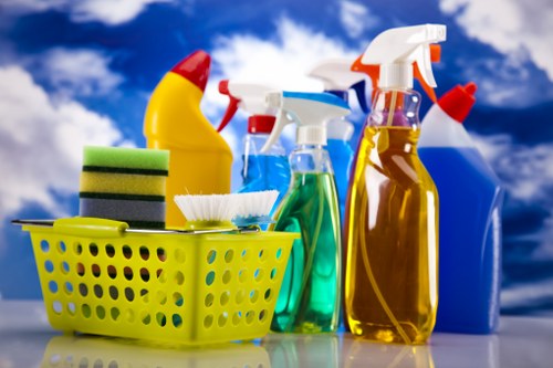 Professional cleaners working in a Collier Row home