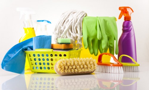 Mike's Cleaners team providing residential cleaning services