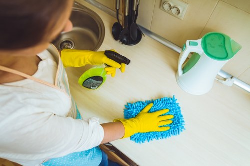 Cleaners performing residential cleaning tasks