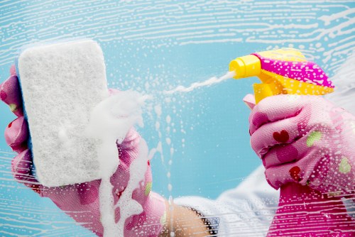 Professional cleaning team in Highams Park