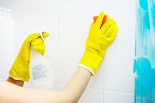 Residential cleaning services in Hatch End