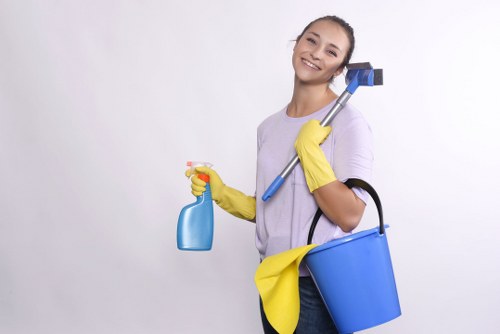 Cleaning team using eco-friendly products in Tottenham Hale