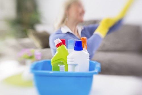 Professional cleaning team servicing a commercial office in Somers Town