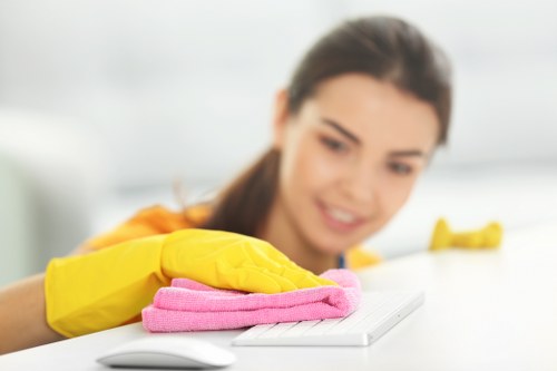 Eco-friendly cleaning products used by Mike's Cleaners