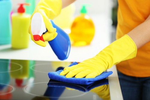 Professional cleaning team at work in Southgate home