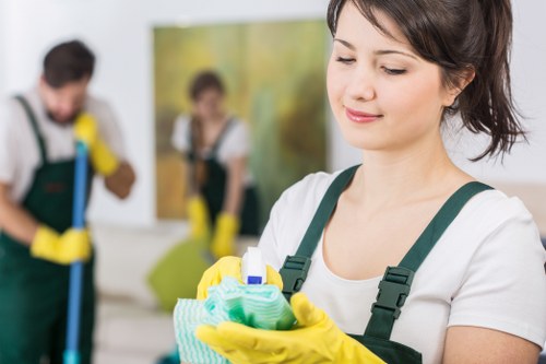 Residential and commercial cleaning services in Thornton Heath