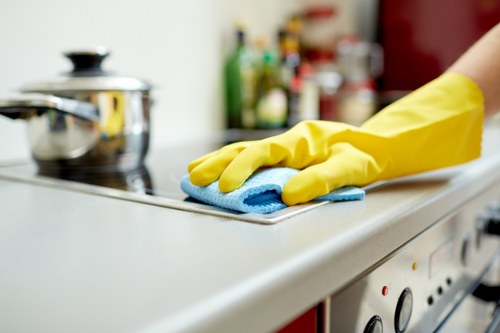 Eco-friendly cleaning products in use