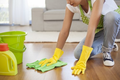 Mikes Cleaners' advanced rug cleaning techniques