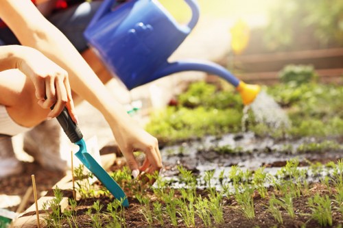 Professional sofa cleaning service by Mikes Cleaners